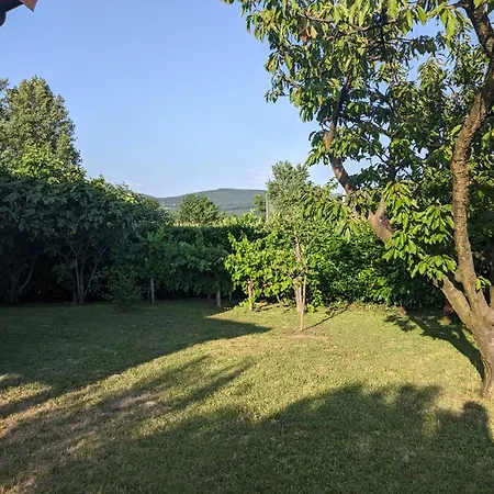 Pocitniska Hisa Hum Villa Kojsko Buitenkant foto