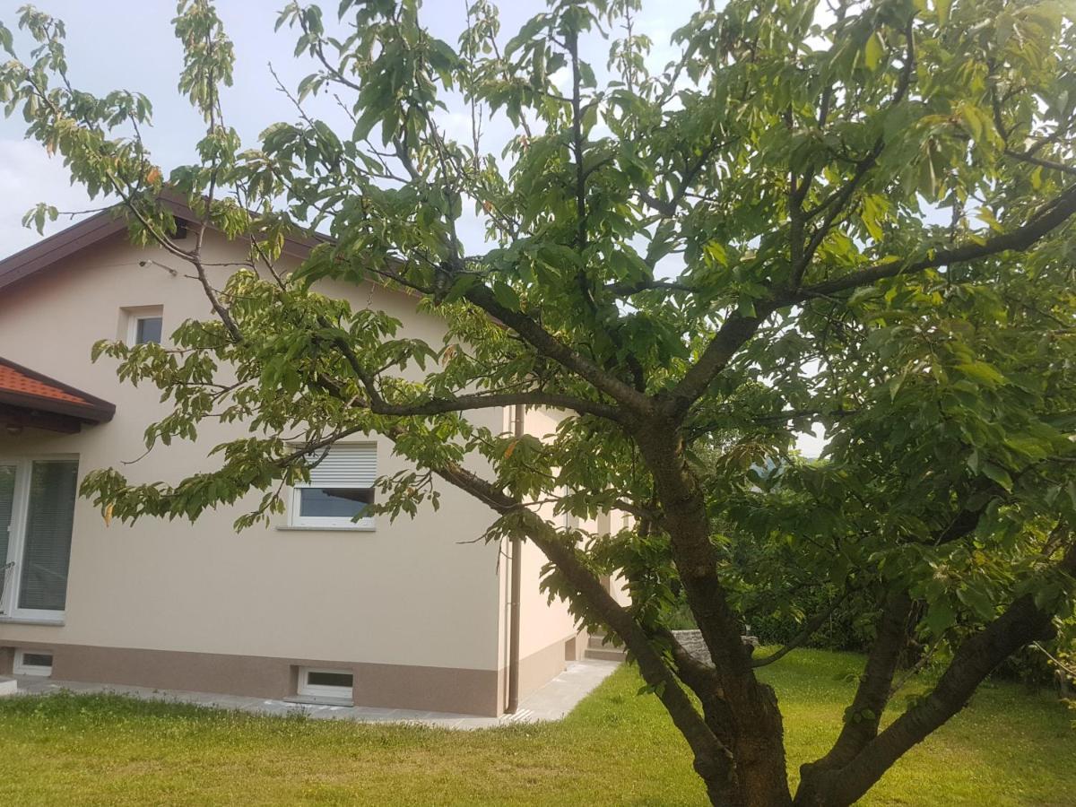 Pocitniska Hisa Hum Ferienhaus